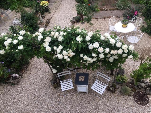 Chez Brown Bed & Breakfast Saint-Thomas-de-Conac Bagian luar foto
