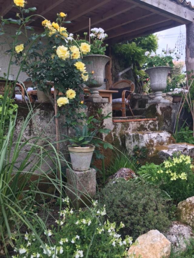 Chez Brown Bed & Breakfast Saint-Thomas-de-Conac Bagian luar foto